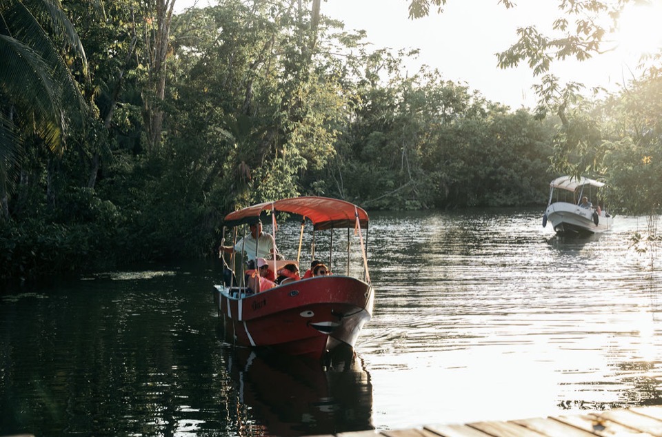 A small covered boat travelling through a rainforest river on the Río Dulce.
