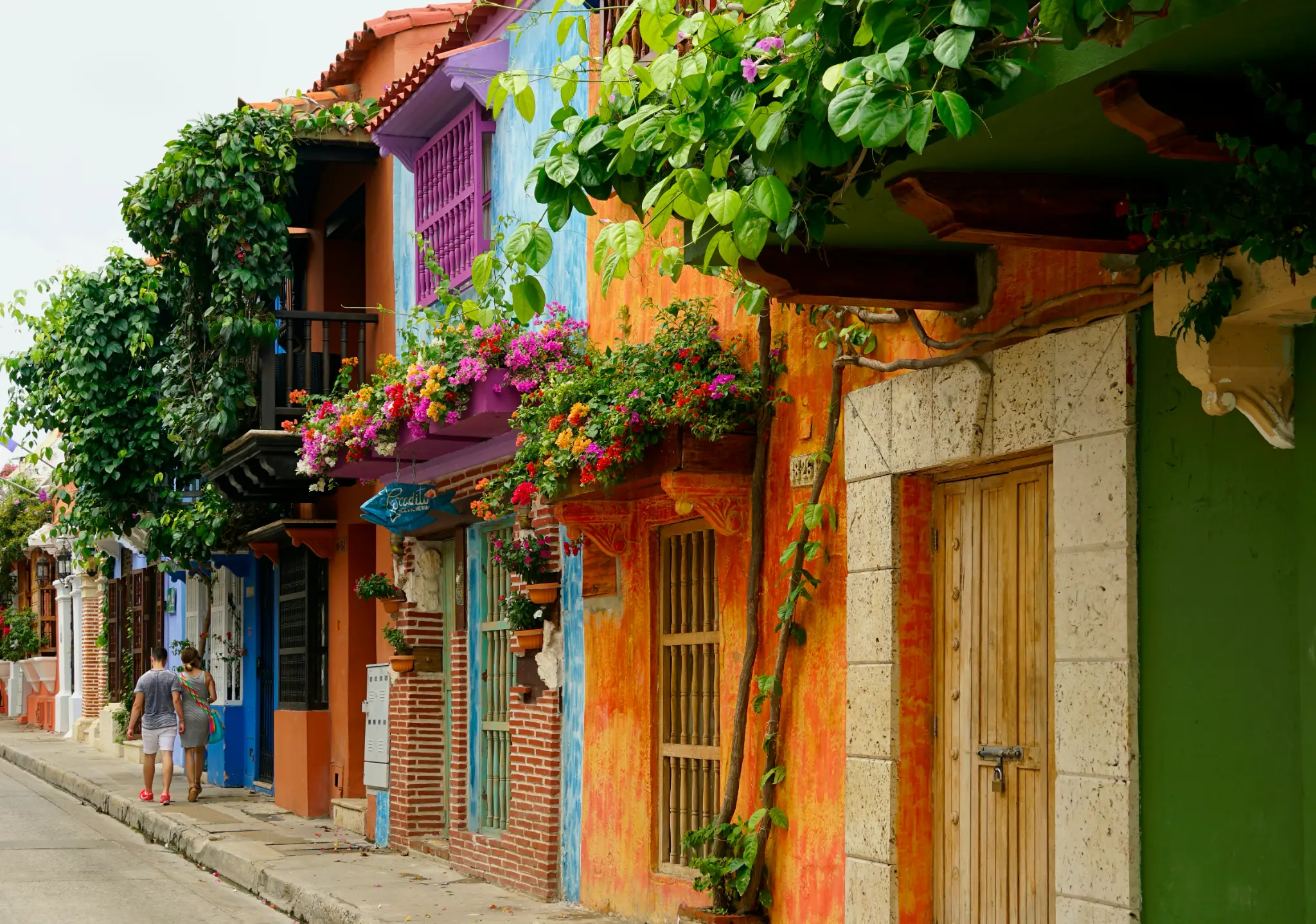 Colourful colonial facades with bougainvillea on a pedestrian street in Cartagena's Old City