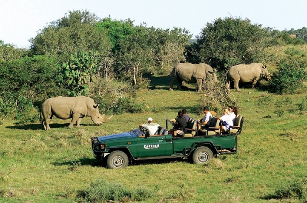 Guests on an open safari vehicle watching rhino graze at Kariega
