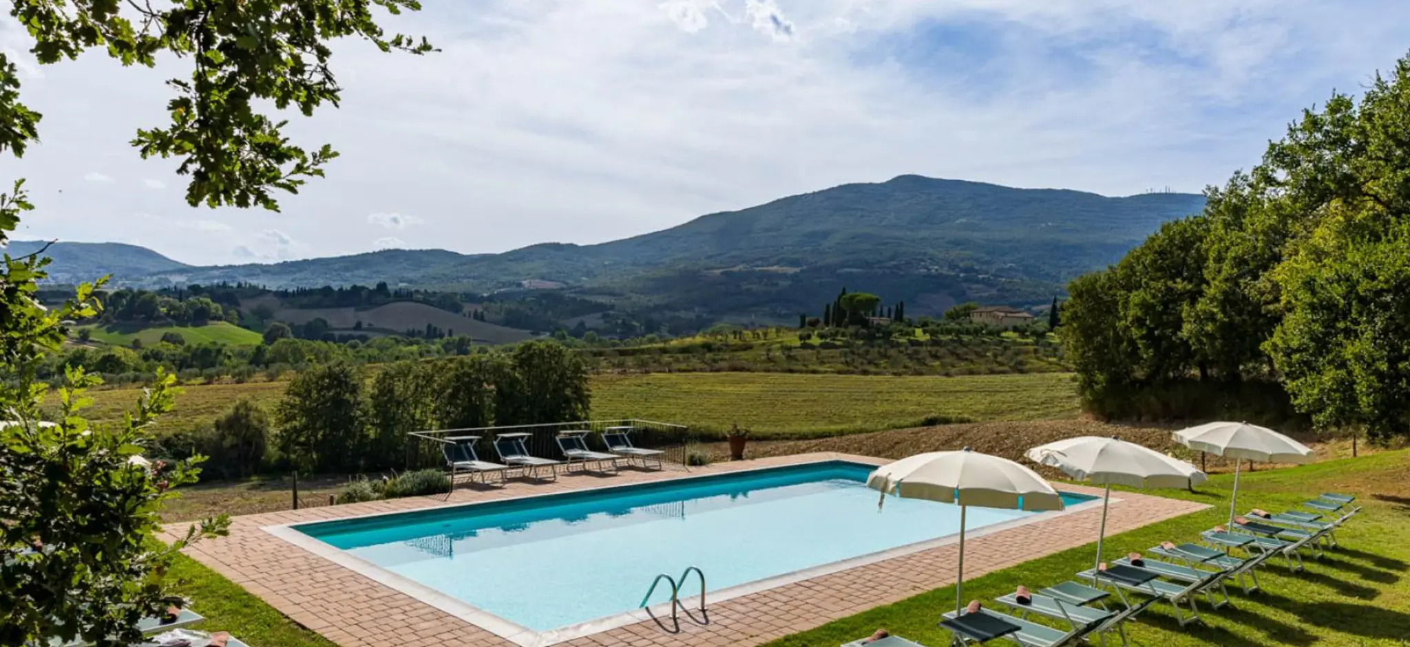 Private swimming pool at Villa Serenzia surrounded by Tuscan cypress trees, Val d’Orcia